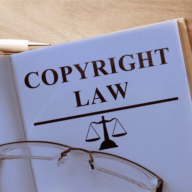 Intellectual Property Rights