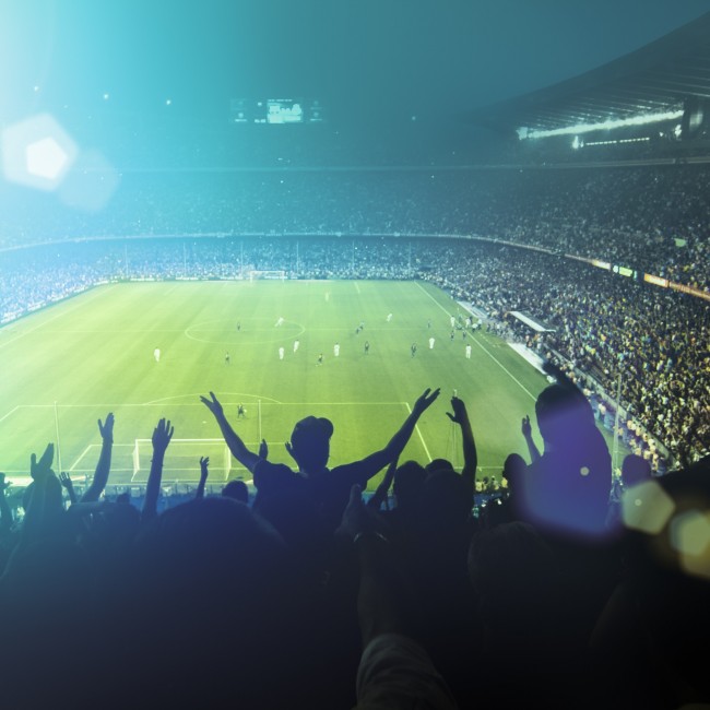 Sports / Entertainment